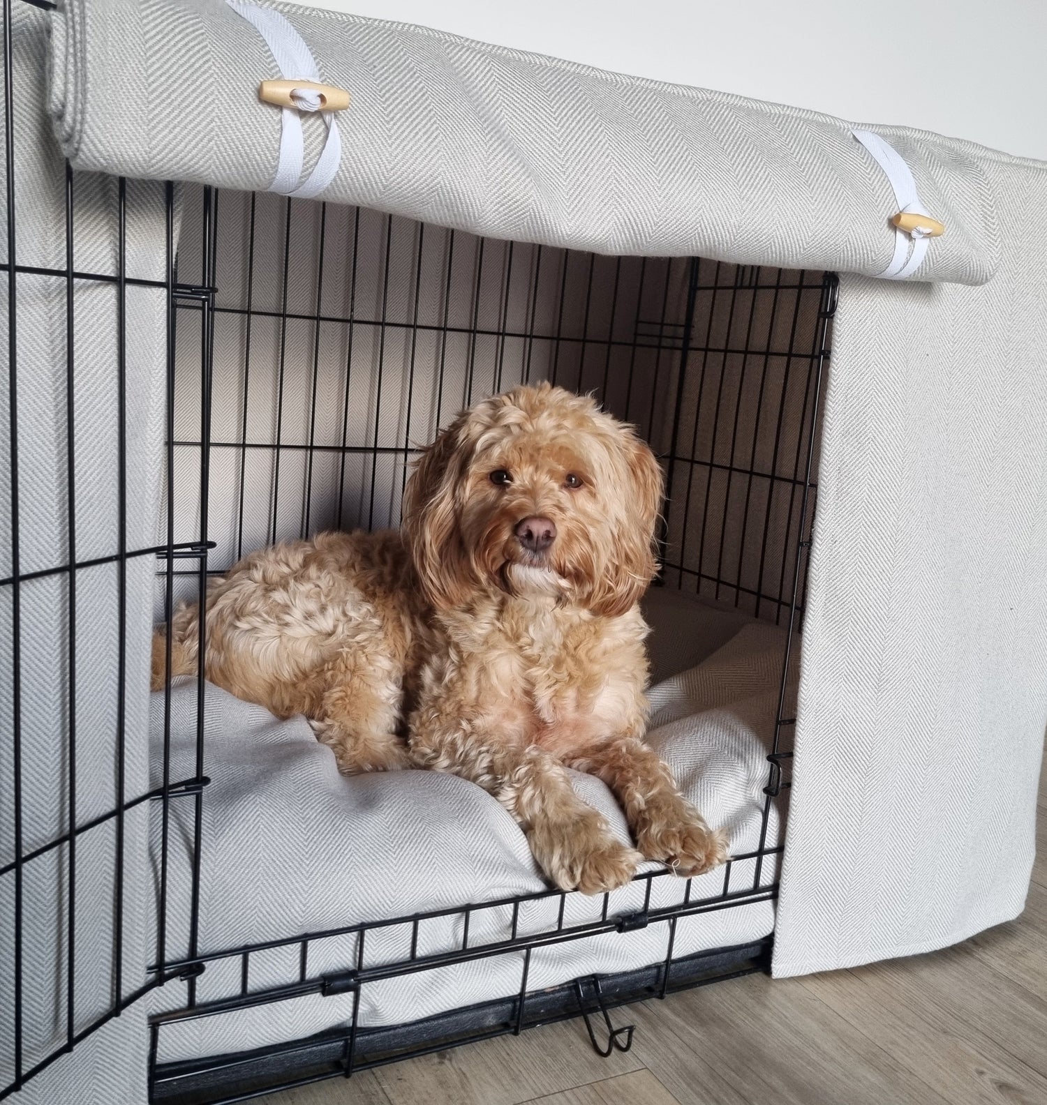 Welcome to Our Store